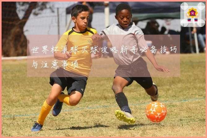 世界杯滚球买球攻略新手必备技巧与注意事项