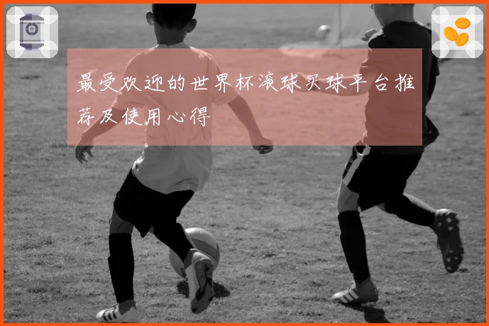 最受欢迎的世界杯滚球买球平台推荐及使用心得
