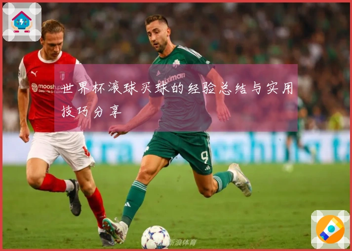 世界杯滚球买球的经验总结与实用技巧分享