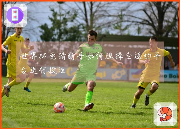 世界杯竞猜新手如何选择合适的平台进行投注