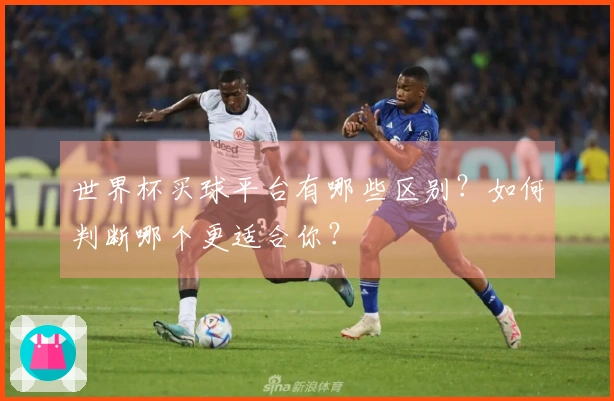 世界杯买球平台有哪些区别？如何判断哪个更适合你？