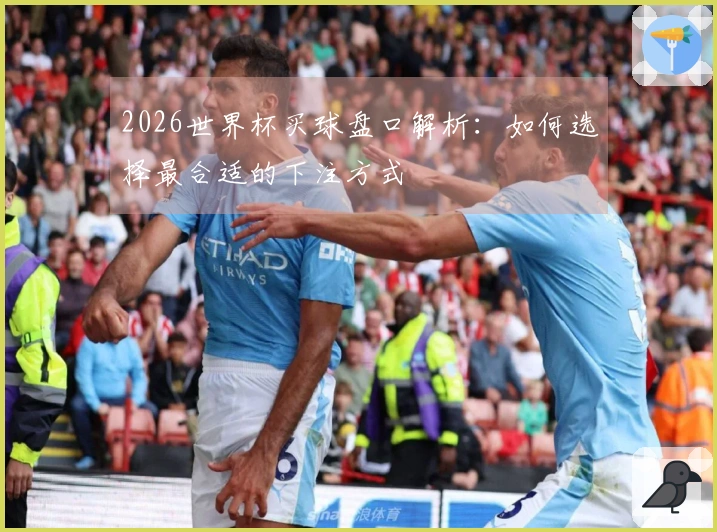 2026世界杯买球盘口解析:如何选择最合适的下注方式