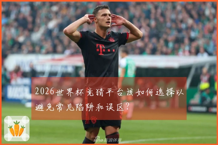 2026世界杯竞猜平台该如何选择以避免常见陷阱和误区？