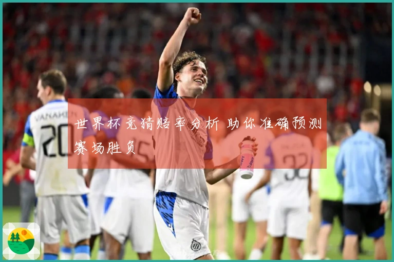 世界杯竞猜赔率分析 助你准确预测赛场胜负