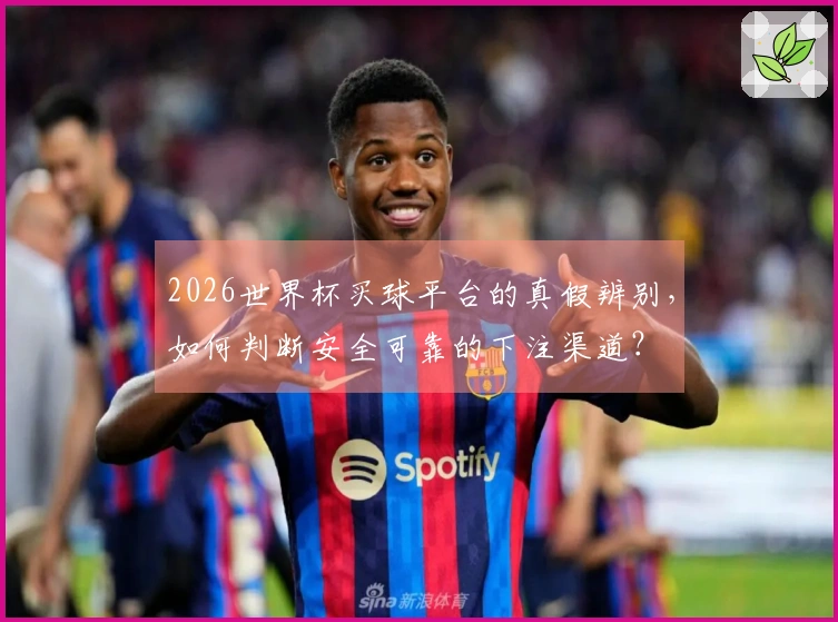 2026世界杯买球平台的真假辨别，如何判断安全可靠的下注渠道？