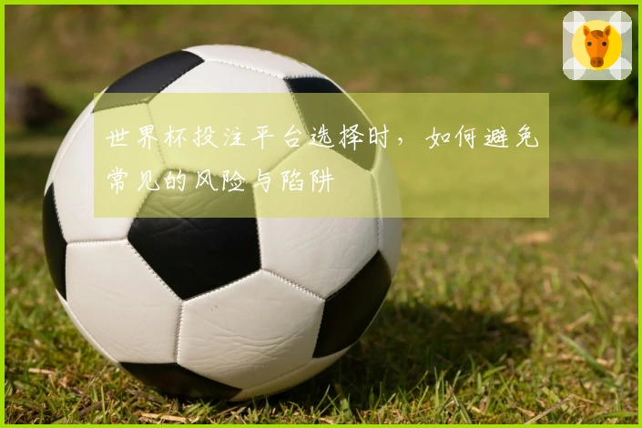 世界杯投注平台选择时，如何避免常见的风险与陷阱