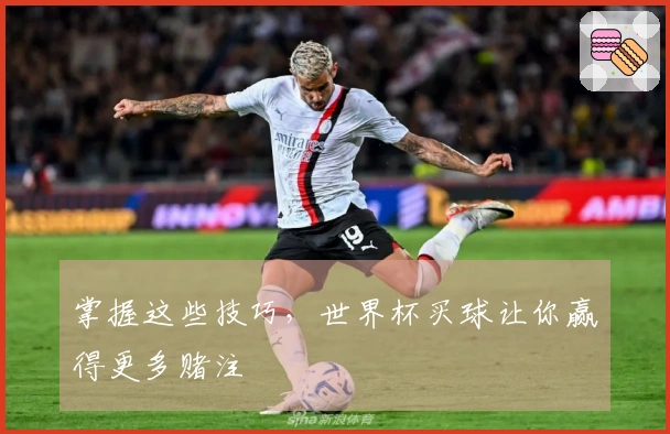 掌握这些技巧，世界杯买球让你赢得更多赌注