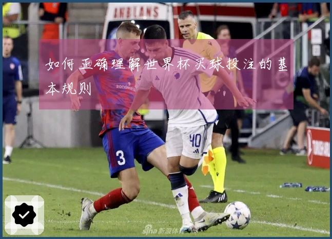 如何正确理解世界杯买球投注的基本规则