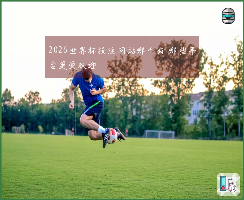 2026世界杯投注网站哪个好 哪些平台更受欢迎