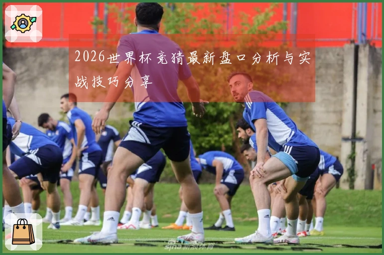 2026世界杯竞猜最新盘口分析与实战技巧分享