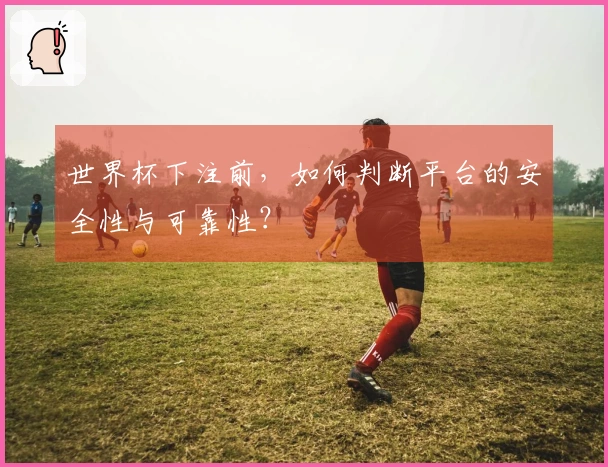世界杯下注前，如何判断平台的安全性与可靠性？