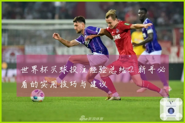 世界杯买球投注经验总结：新手必看的实用技巧与建议