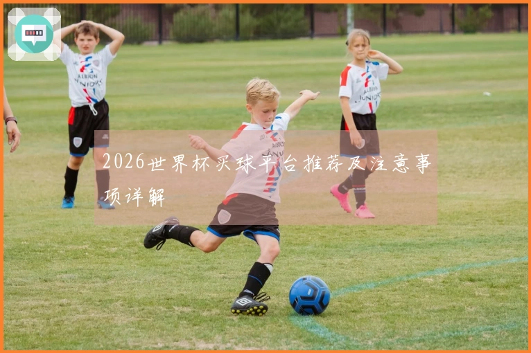 2026世界杯买球平台推荐及注意事项详解