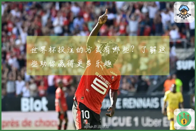 世界杯投注的方式有哪些？了解这些助你赢得更多乐趣
