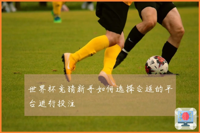 世界杯竞猜新手如何选择合适的平台进行投注