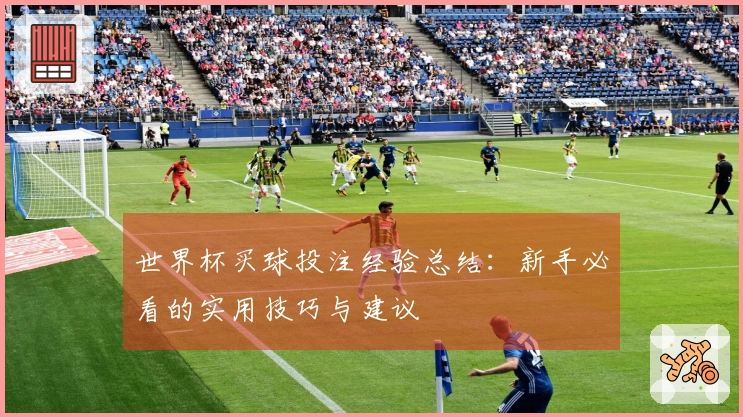 世界杯买球投注经验总结：新手必看的实用技巧与建议