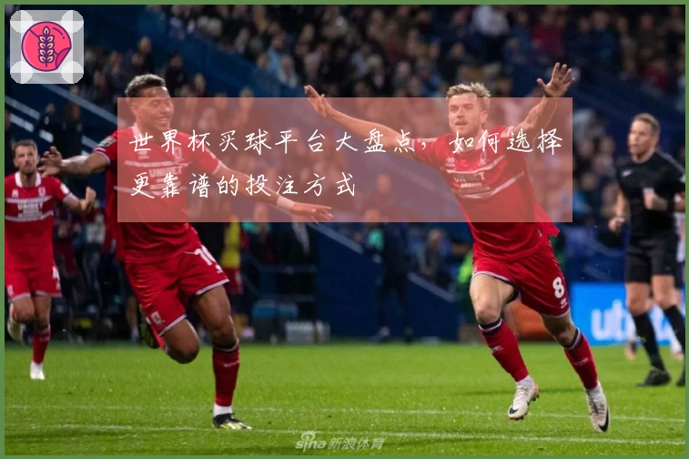 世界杯买球平台大盘点，如何选择更靠谱的投注方式