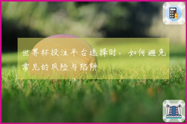 世界杯投注平台选择时，如何避免常见的风险与陷阱
