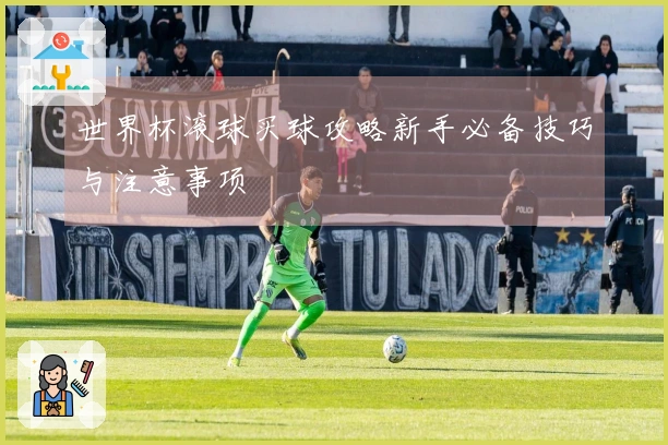 世界杯滚球买球攻略新手必备技巧与注意事项