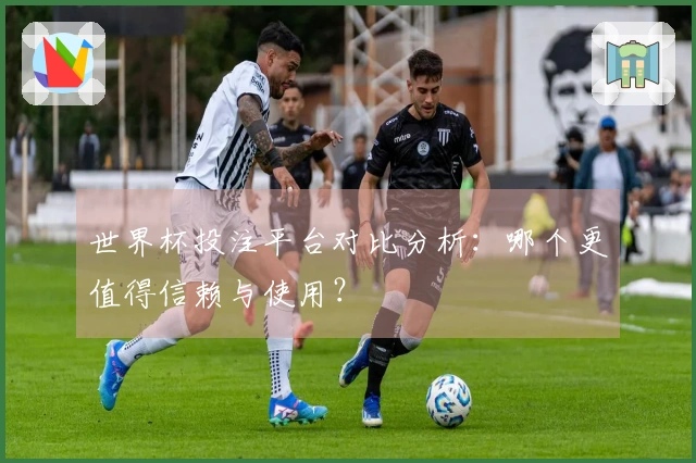 世界杯投注平台对比分析:哪个更值得信赖与使用?