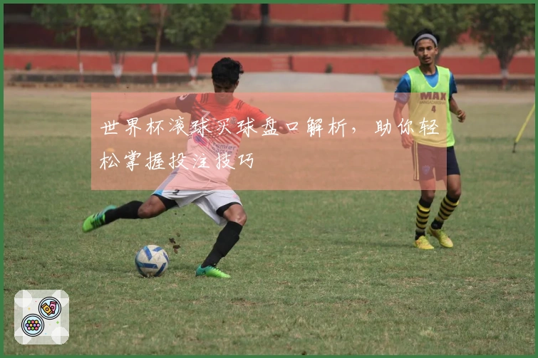 世界杯滚球买球盘口解析，助你轻松掌握投注技巧