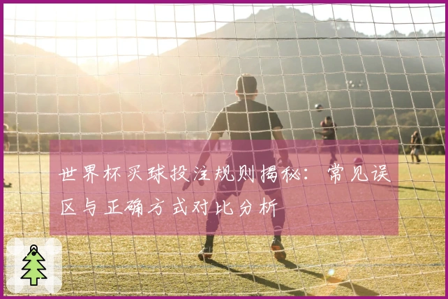 世界杯买球投注规则揭秘：常见误区与正确方式对比分析