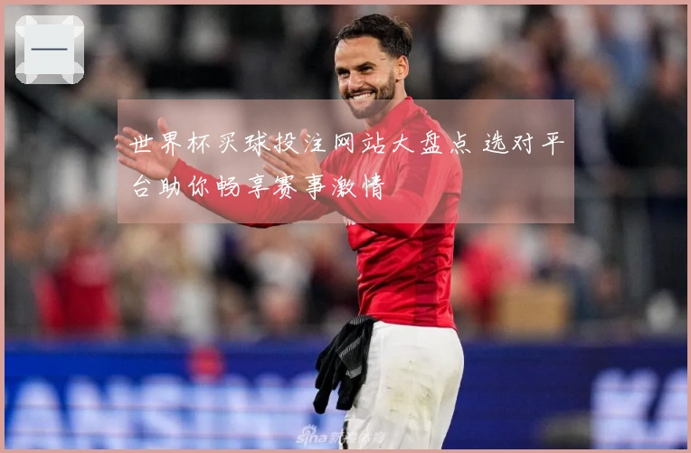 世界杯买球投注网站大盘点 选对平台助你畅享赛事激情