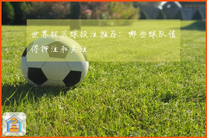 世界杯买球投注推荐：哪些球队值得押注和关注