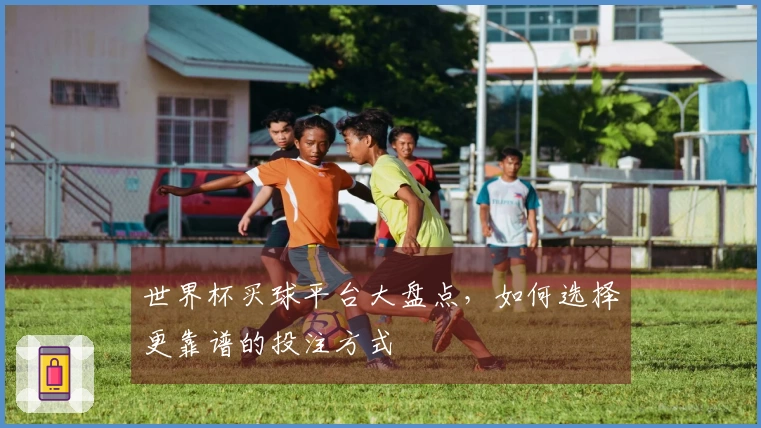 世界杯买球平台大盘点，如何选择更靠谱的投注方式